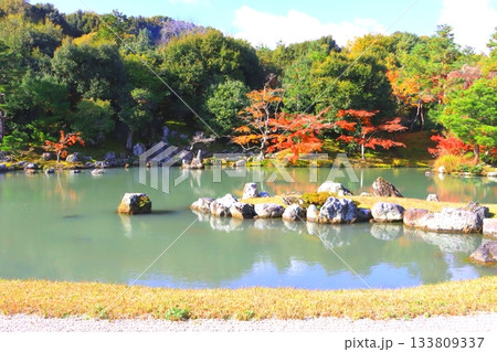 秋の天龍寺（曹源池・京都市） 133809337