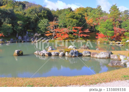 秋の天龍寺(曹源池・京都市) 秋の天龍寺(曹源池・京都市) 133809338