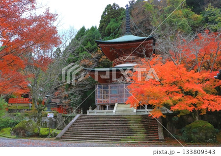 秋の虚空蔵法輪寺（多宝塔・嵐山・京都市） 133809343