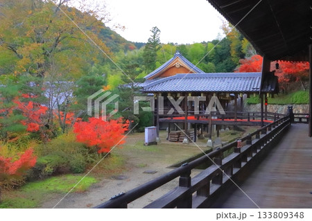秋の光明寺（長岡京市） 133809348