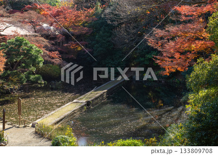 小石川後楽園の秋の風景 133809708