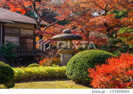 小石川後楽園の秋の風景 133809893