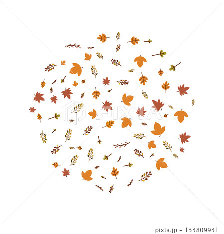 autumn leaves and twigs. autumn leaves and twigs. 133809931