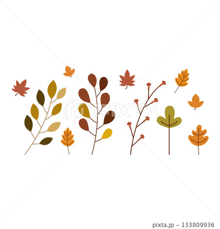 Autumn leaves and branches Autumn leaves and branches 133809936