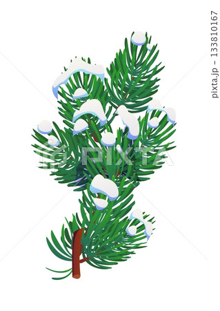 Pine or fir tree branch in winter snow for Christmas winter holiday, cartoon vector. Fir, pine or spruce tree snowy branch covered with snow flake piles for Christmas wreath decoration and New Year 133810167