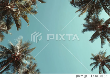 青空にヤシの木がある風景 青空にヤシの木がある風景 133810182
