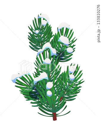 Christmas fir or pine tree branch in snow for winter holiday, cartoon vector icon. Fir, pine or spruce tree snowy branch for Xmas wreath decoration, New Year greeting and Christmas garland frame 133810276
