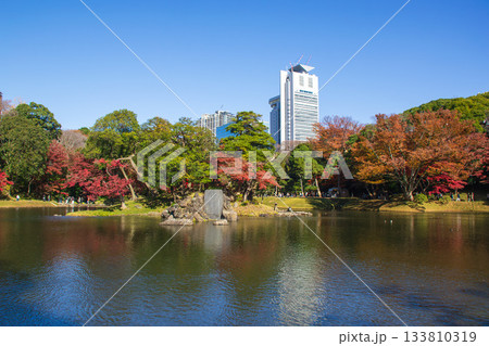 小石川後楽園の秋の風景 133810319