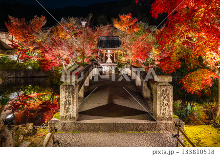 京都 南禅寺・永観堂の紅葉ライトアップ 京都 南禅寺・永観堂の紅葉ライトアップ 133810518
