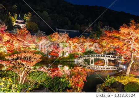 京都 南禅寺・永観堂の紅葉ライトアップ 京都 南禅寺・永観堂の紅葉ライトアップ 133810524