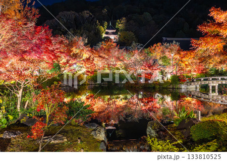 京都　南禅寺・永観堂の紅葉ライトアップ 133810525