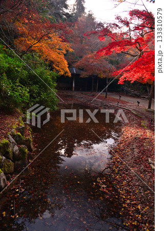 安芸の宮島・紅葉の紅葉谷公園 133810579