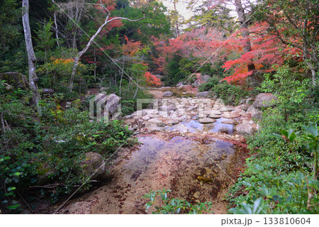 安芸の宮島・紅葉の紅葉谷公園 133810604