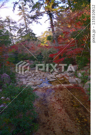 安芸の宮島・紅葉の紅葉谷公園 133810612