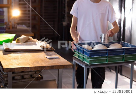 Baker sifting flour over dough balls in blue storage crate at work station inside industrial bakery kitchen preparing bread for baking process Baker sifting flour over dough balls in blue storage crate at work station inside industrial bakery kitchen preparing bread for baking process 133810801