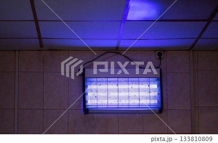 Electronic insect killer emitting blue ultraviolet light on tiled wall, attracting and zapping flying insects, many dead bugs visible inside grid 133810809