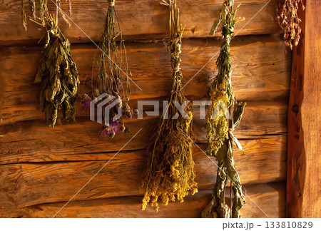 Medicinal herbs in a rustic herbalist's shop against a wooden log wall. Nettle, thyme, and fireweed. Herbal treatment 133810829