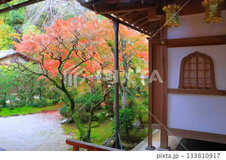 秋の光明寺（長岡京市） 133810917