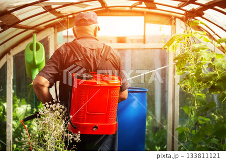 A summer resident treats plants in the summer from parasites. Plant protection from diseases, copy space for text, industry 133811121