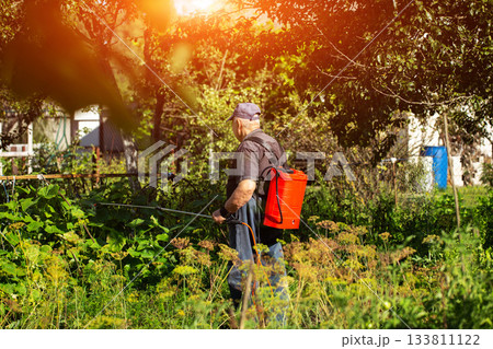 An elderly man with a red sprayer treats plants with ammonia to protect them from diseases and pests at his dacha. Copy space for text, industry 133811122