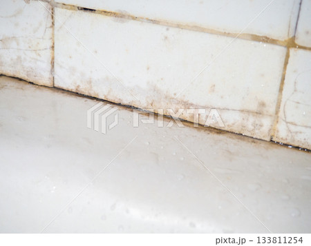 Dirty tiles in the bathroom. Black dots on bathroom enamel. Mold in the bathroom. Need a cleaning product. Cleaning product concept Dirty tiles in the bathroom. Black dots on bathroom enamel. Mold in the bathroom. Need a cleaning product. Cleaning product concept 133811254