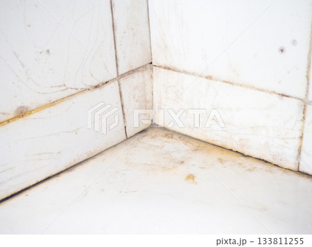 Dirty tiles in the bathroom. Black dots on bathroom enamel. Mold in the bathroom. Need a cleaning product. Bacteria Dirty tiles in the bathroom. Black dots on bathroom enamel. Mold in the bathroom. Need a cleaning product. Bacteria 133811255