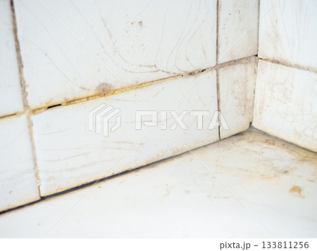 Dirty tiles in the bathroom. Black dots on bathroom enamel. Mold in the bathroom. Need a cleaning product. Bacteria. Dirty tiles in the bathroom. Black dots on bathroom enamel. Mold in the bathroom. Need a cleaning product. Bacteria. 133811256
