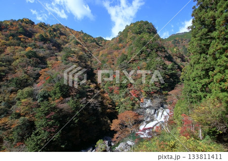 瀬戸川渓谷 秋の渓谷美 (高知県 土佐町) 瀬戸川渓谷 秋の渓谷美 (高知県 土佐町) 133811411