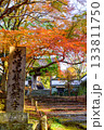 紅葉の寺の門 133811750