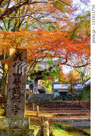 紅葉の寺の門 133811750
