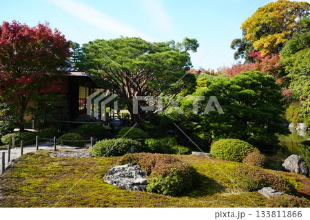 京都 秋の紅葉の季節の城南宮の風景 133811866