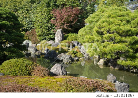 京都 秋の紅葉の季節の城南宮の風景 133811867