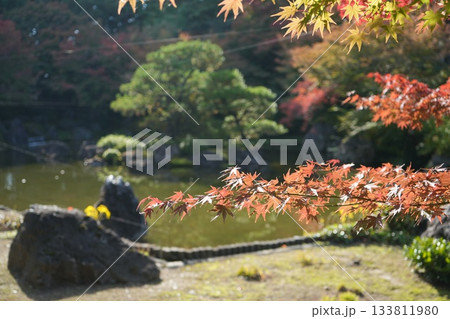 京都 秋の紅葉の季節の城南宮の風景 133811980