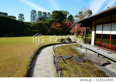 京都 秋の紅葉の季節の城南宮の風景 133811988