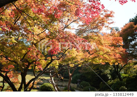 京都 秋の紅葉の季節の城南宮の風景 133812449