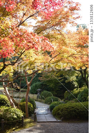京都 秋の紅葉の季節の城南宮の風景 京都 秋の紅葉の季節の城南宮の風景 133812606