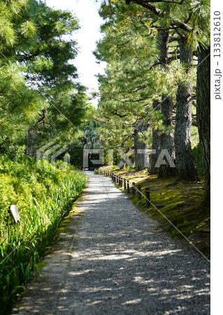 京都 秋の紅葉の季節の城南宮の風景 133812610