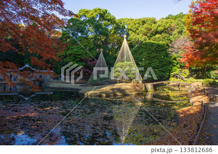 小石川後楽園の秋の風景 小石川後楽園の秋の風景 133812686