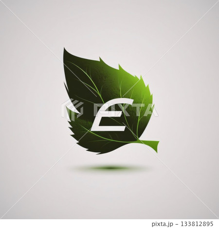 Eco leaf icon. Vector design template elements for your application or corporate identity. letter E 133812895