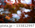 紅葉　赤の陰影 133812997