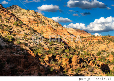 Red sandstone cliffs rise toward blue sky in Zion National Park, Utah, United States. Geologic formations of Navajo Sandstone feature layered rock textures and green vegetation on sunny day 133813051