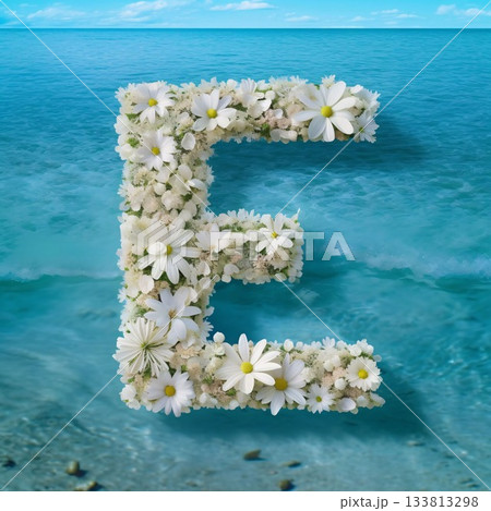 Letter E made of flowers on the background of the sea and sky 133813298