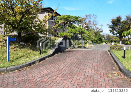 熱海市　初島の周遊路と道案内と青空 133813886