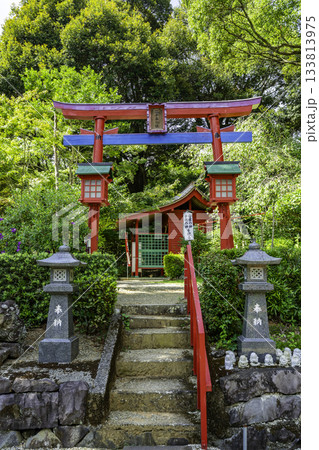 出水 加紫久利神社 二千年の社 鹿児島県出水市 出水 加紫久利神社 二千年の社 鹿児島県出水市 133813975