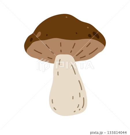 A brown mushroom isolated on a white background 133814044