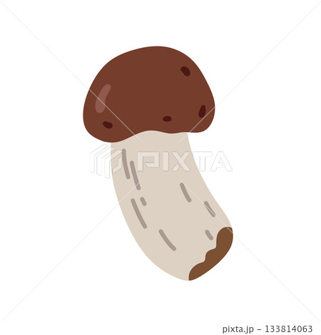 A brown mushroom isolated on a white 133814063