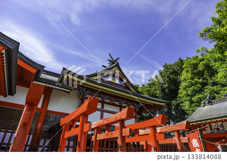 出水　加紫久利神社　社殿　鹿児島県出水市 133814088