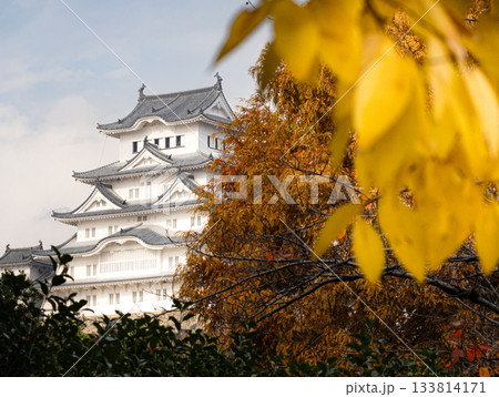 秋晴れの世界文化遺産国宝姫路城の優美な風景 133814171