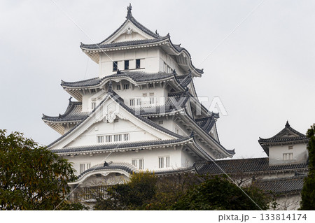 秋晴れの世界文化遺産国宝姫路城の優美な風景 133814174