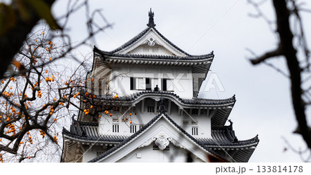 秋晴れの世界文化遺産国宝姫路城の優美な風景 秋晴れの世界文化遺産国宝姫路城の優美な風景 133814178